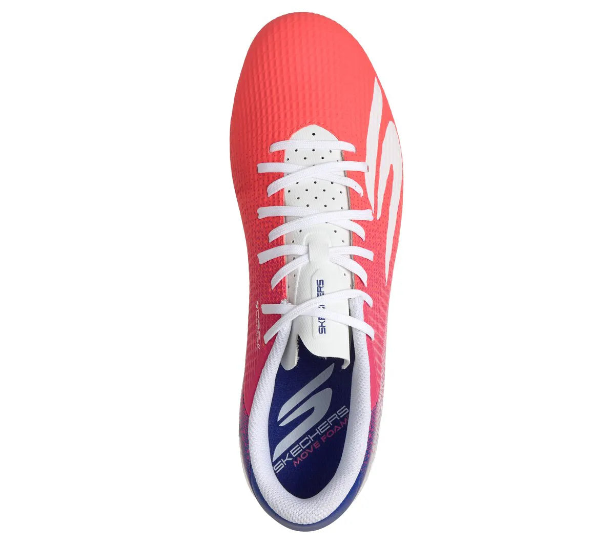 BBLP